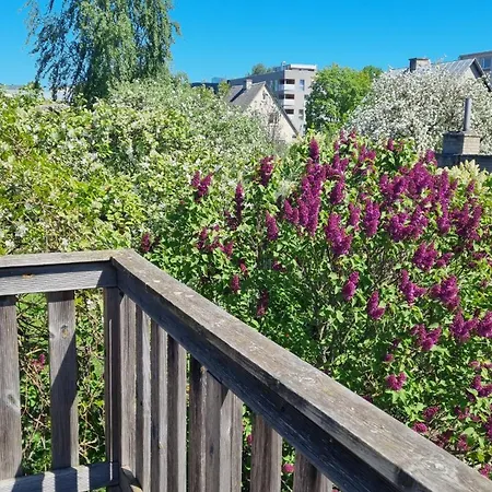 Tihase One Bedroom Garden View *